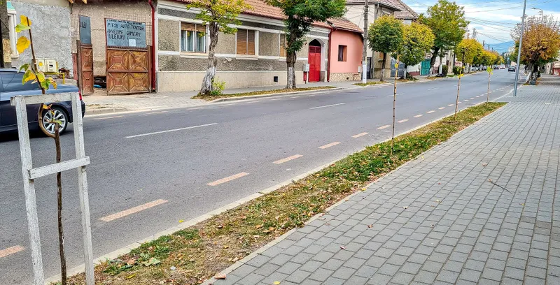 Făgăraș - Foto: Primăria Făgăraș
