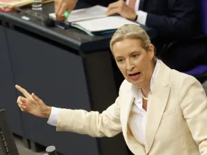 AfD, partidul extremist pro-Rusia, pe primul loc în sondajele din Germania cu 26% intenție de vot - Foto: Profimedia images