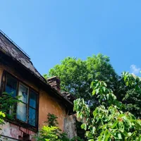Casă dărăpănată vândută la preț de vilă de lux Foto: imobiliare.ro