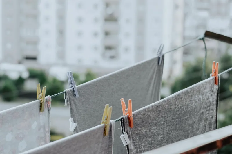 Rufe la uscat Foto: Pexels (imagine cu rol ilustrativ)