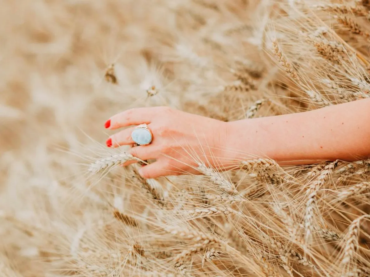 România va avea pentru Agricultură bani europeni mai puţini şi mai greu de luat - Foto: Pexels/Natalie Bond