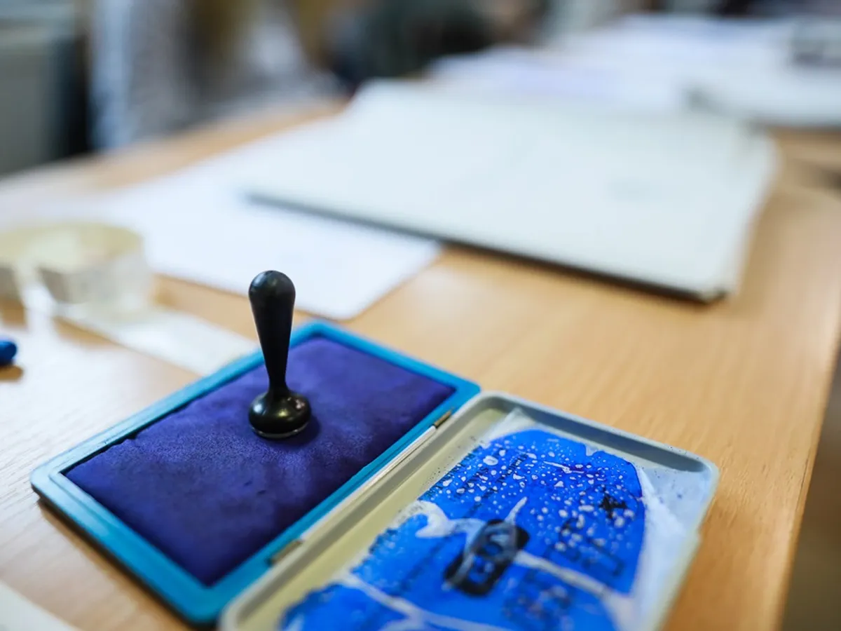 Poți vota pentru europarlamentare la orice secție din țară. Urna mobilă nu e folosită în afară - Foto: INQUAM Photos / George Calin
