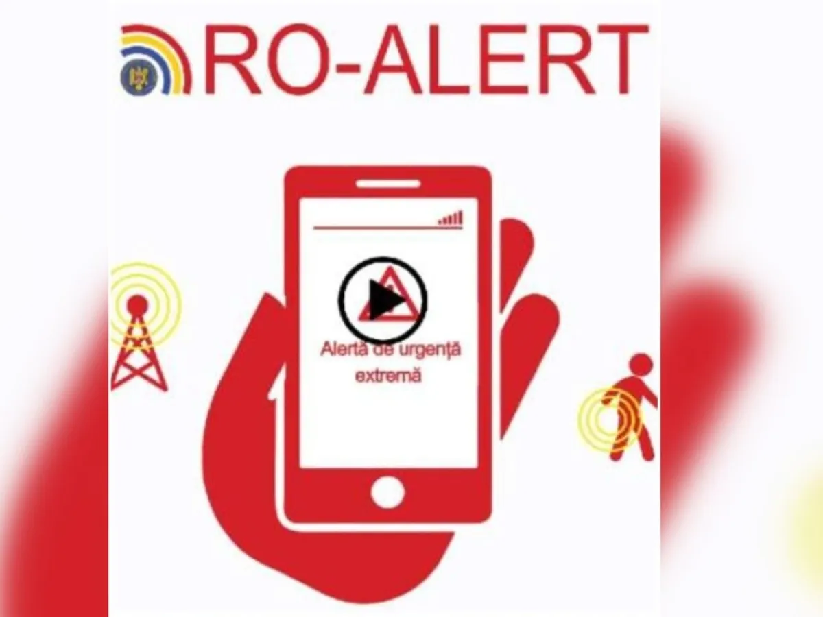 Alertă în Voluntari: un mistreț a fost văzut pe strada Erou Iancu Nicolae