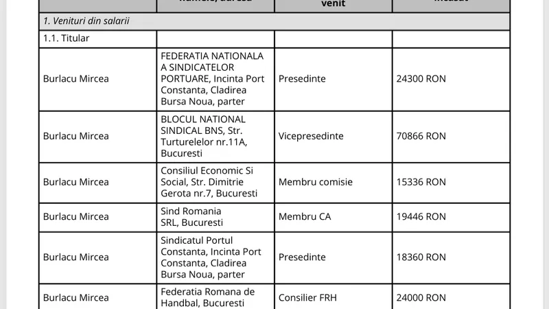 Mireca Burlacu, avere