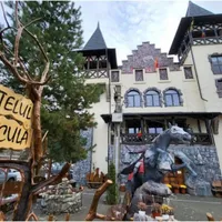 Noul Castel al lui Dracula, deschis într-un sat din România. Unde îl putem găsi - Foto: Observator