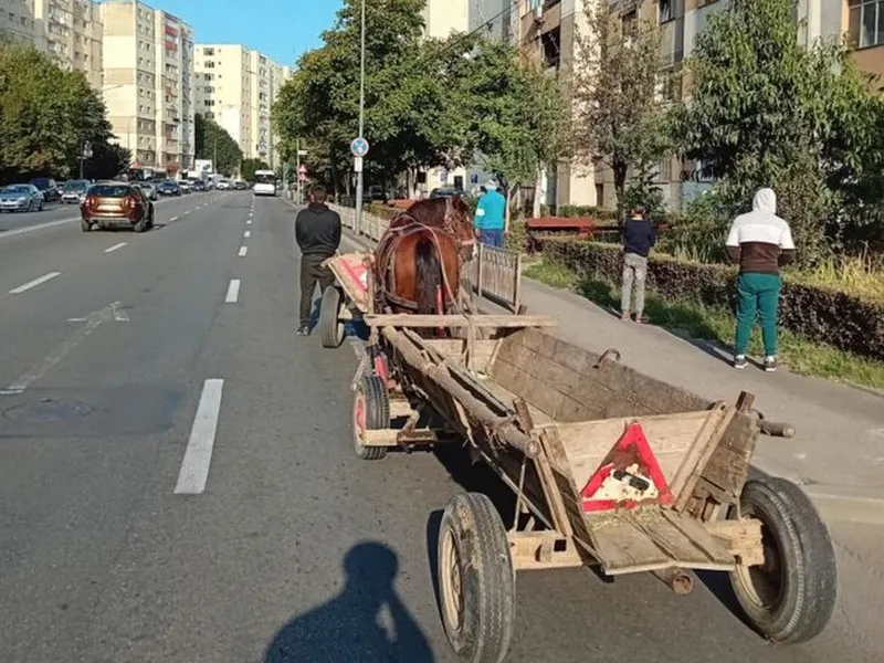 Transport mai eco nu există! Două căruțe, surprinse în trafic în mijlocul Piteștiului - Foto: universulargesean.ro