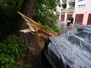 O mașină avariată de un copac căzut, într-o parcare din Districtul 3 al Budapestei - Foto: Profimedia Images