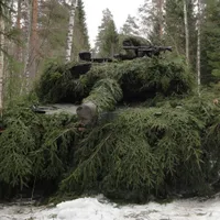 De ce trupele rusești folosesc crengi de copac pentru camuflaj în Ucraina/FOTO: Pixabay