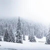 Lapoviță și ninsoare în munții Rodnei, la peste 1.200 de metrii altitudine/FOTO: Unsplash