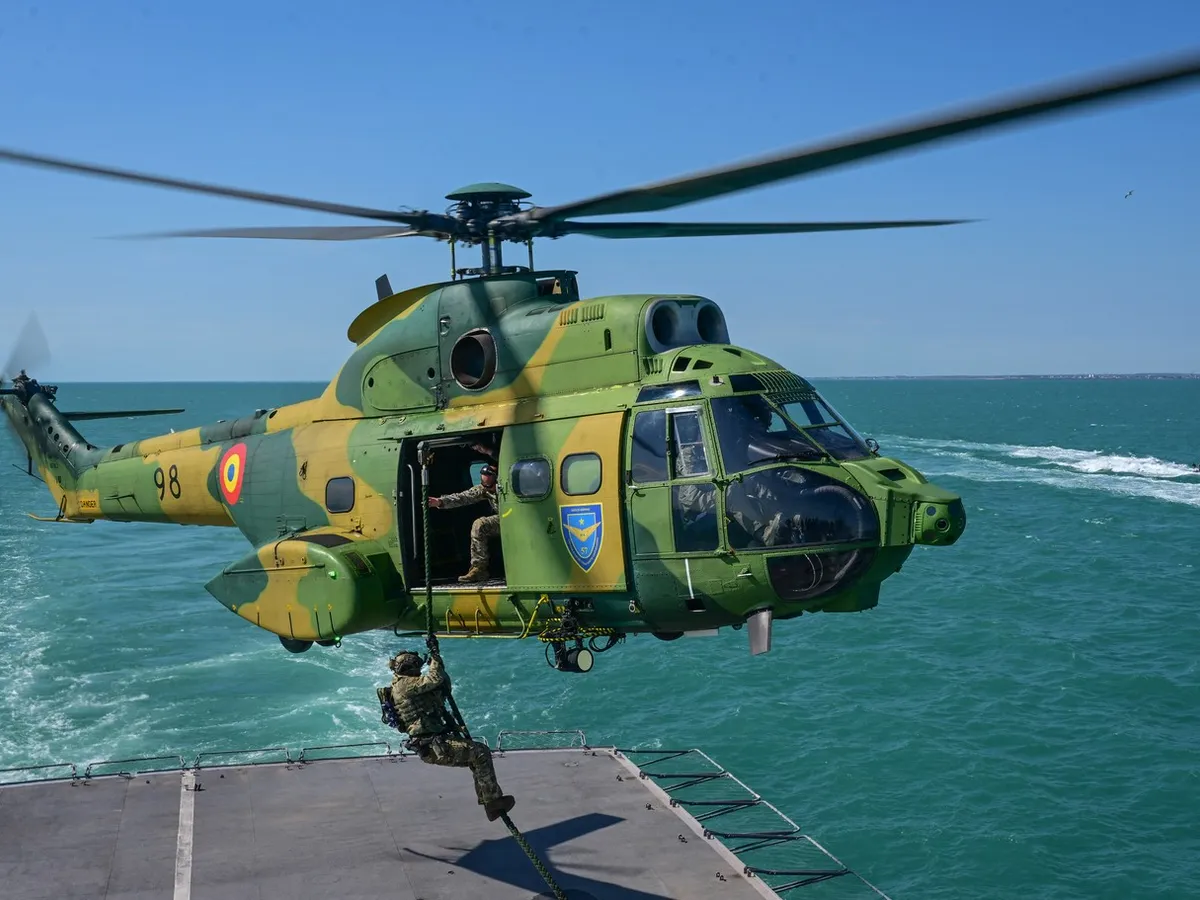 Trojan Footprint, cel mai mare exercițiu FOS din Europa -  Foto: Profimedia Images