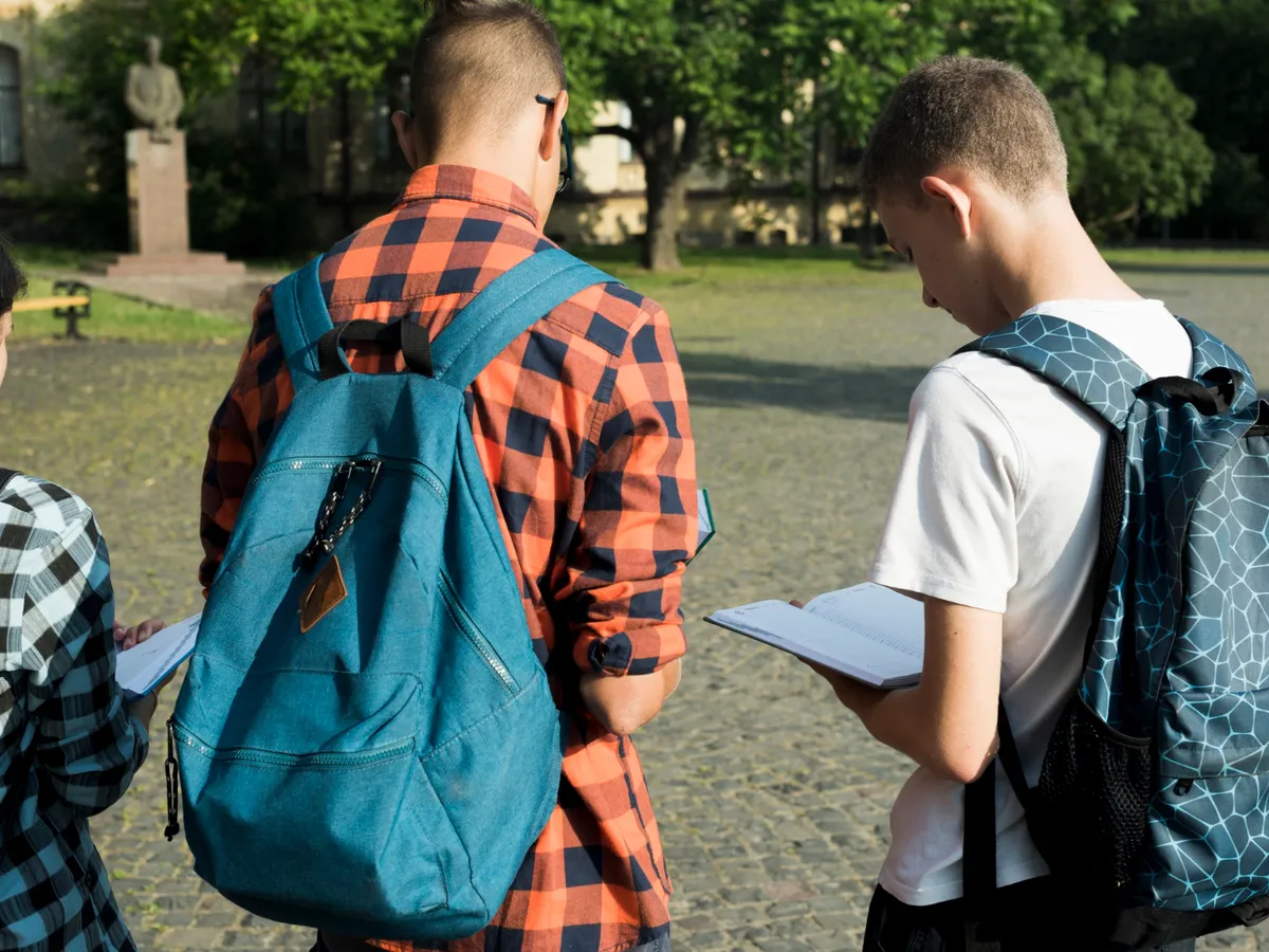 Proiect: Concursurile școlare se pot desfășura online. Vizualizarea lucrării înainte de contestații - Foto: Freepik (Imagine cu rol ilustrativ)