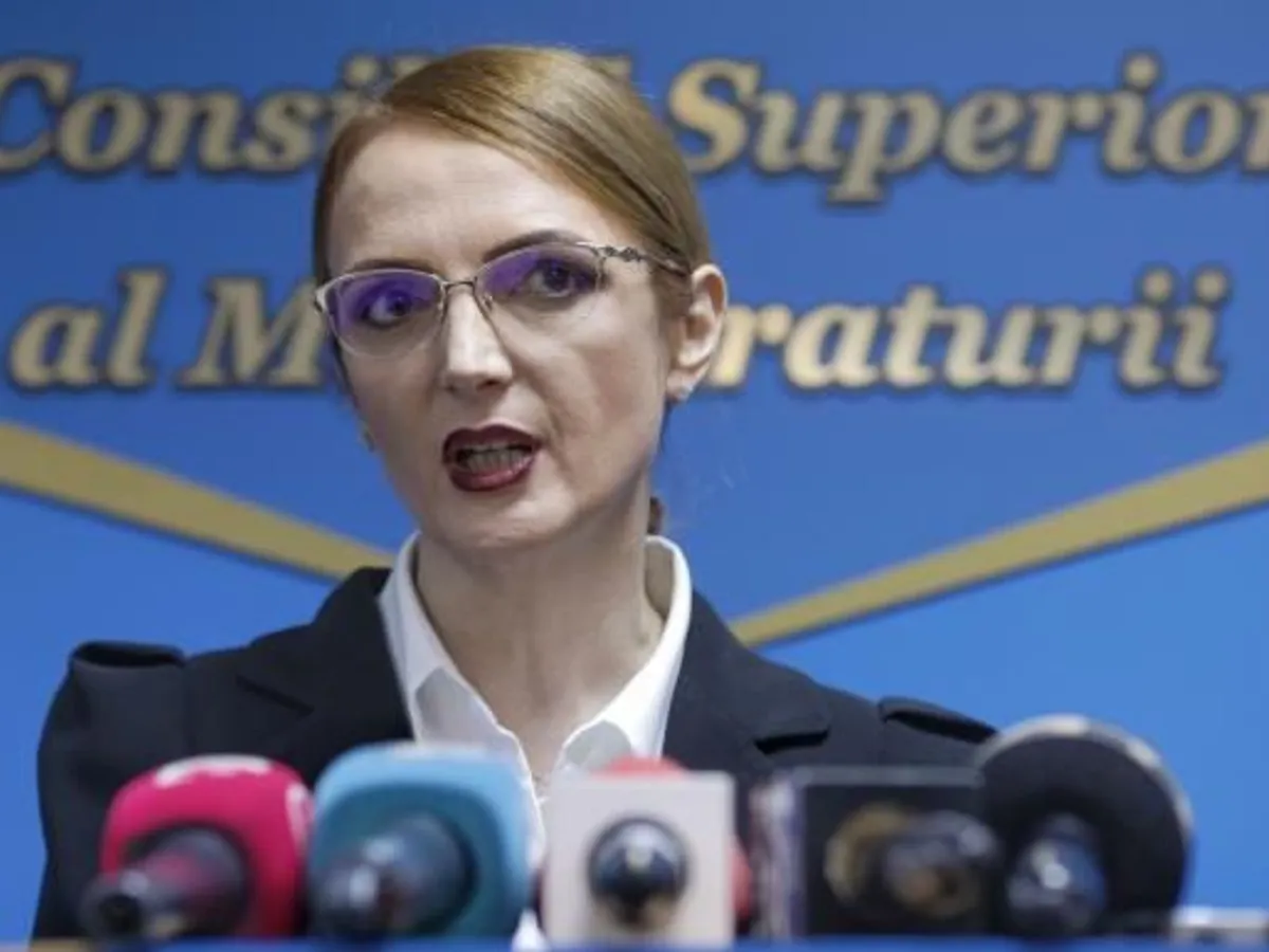 Lia Savonea, președintele CSM Foto: Inquam