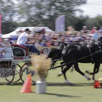 Spectacol total și concurs cu puncte pentru JO de la Paris, la Karpatia Horse Show 2023 - Foto: Facebook/Karpatia Horse Show
