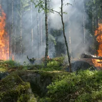 Incendii de pădure în Europa-Foto: PEXELS PHOTOS