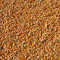 O nouă prelungire a embargoului privind cerealele din Ucraina. Ce spun statele din UE Foto: economedia.ro (fotografie cu caracter ilustrativ)