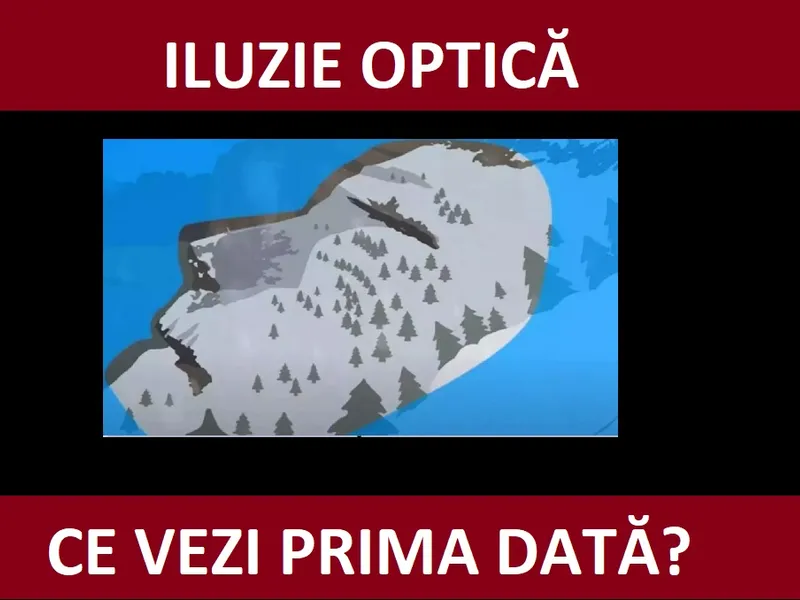 Iluzie optică Foto: Newsweek/ indiatimes.com