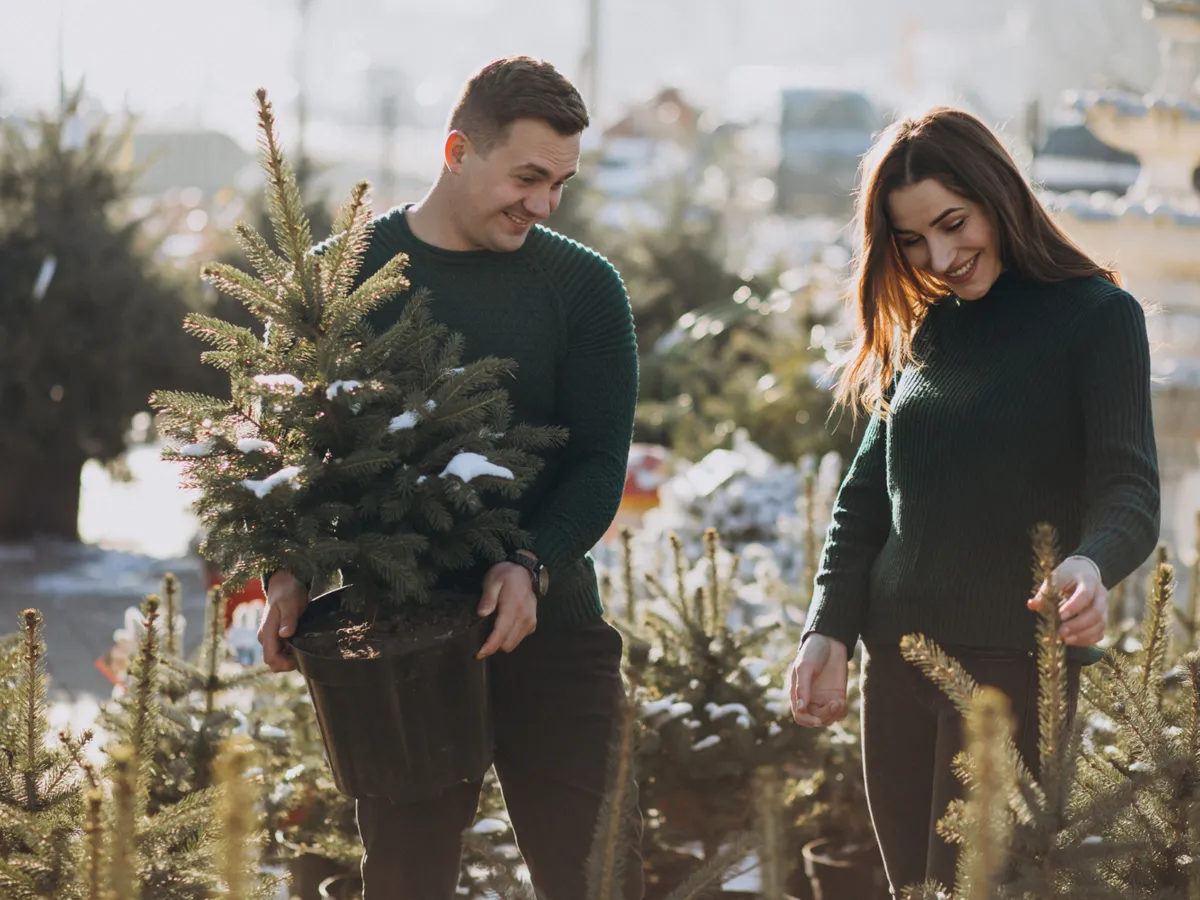 Ce să faci, ca să nu mai cadă acele de brad? Trucuri pentru a arăta bine bradul până în ianuarie - Foto: Freepik (Imagine cu rol ilustrativ)