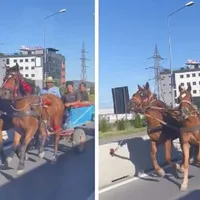 Două căruțe au fost filmate în timp ce circulau pe contrasens pe drumul național dintre Oradea și Sânmartin Foto: captură video Facebook