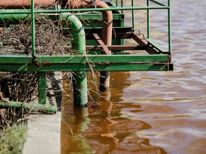 Lacul IOR din Capitală, poluat cu fecale. Sursa: Inquam Photos - George Călin