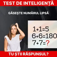 Test de inteligență Foto: Daniel Toșa