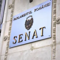 Vot în Senatul României - Foto: Facebook