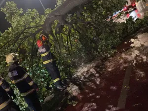 Meteo. Peste 80 de localități din România, afectate de furtună. Un copil a ajuns la spital - Foto: ISU Brașov (rol ilustrativ)