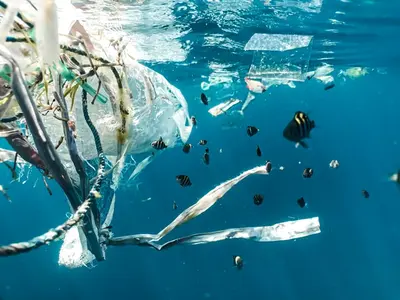 Proiectul Ocean Cleanup a colectat aproape 29 de tone de deşeuri de plastic din Oceanul Pacific/FOTO: Unsplash