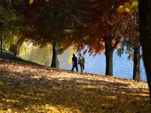 Trupul neînsuflețit al unui bărbat a fost găsit în lacul Herăstrău, în apropierea unei terase/FOTO: Inquam Photos / Oana Pavelescu