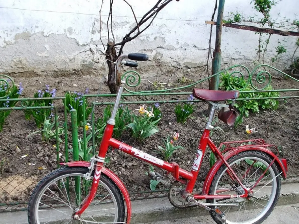 Bicicleta Pegas