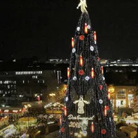 Bradul de Crăciun din Dortmund Olanda Foto: ruhr24.de