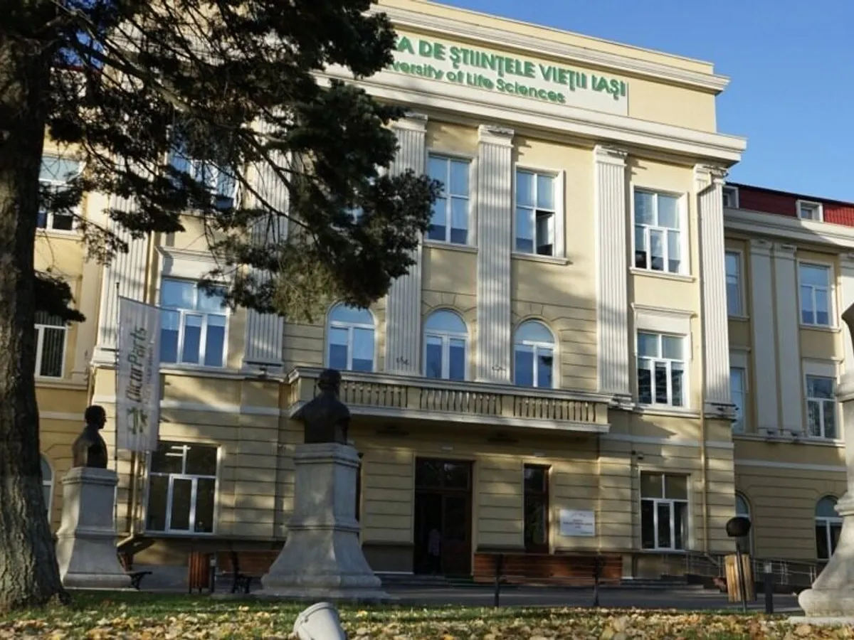 Universitate - Foto: ziaruldeiasi