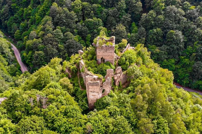 Cetatea Colț Hunedoara
