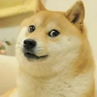 Câinele celebru din mema  „Doge” și emblema „Dogecoin” a murit. Era la vârsta „majoratului” - Foto:  kabochan.blog.jp  / imagine rol ilustrativ