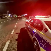 Cal, noaptea, pe DN 25. Un șofer de TIR a încercat să-l evite și a dărâmat o casă - Foto: News.ro - Imagine cu rol ilustrativ