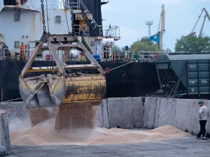 Grâu din Ucraina - Foto: Profimedia Images