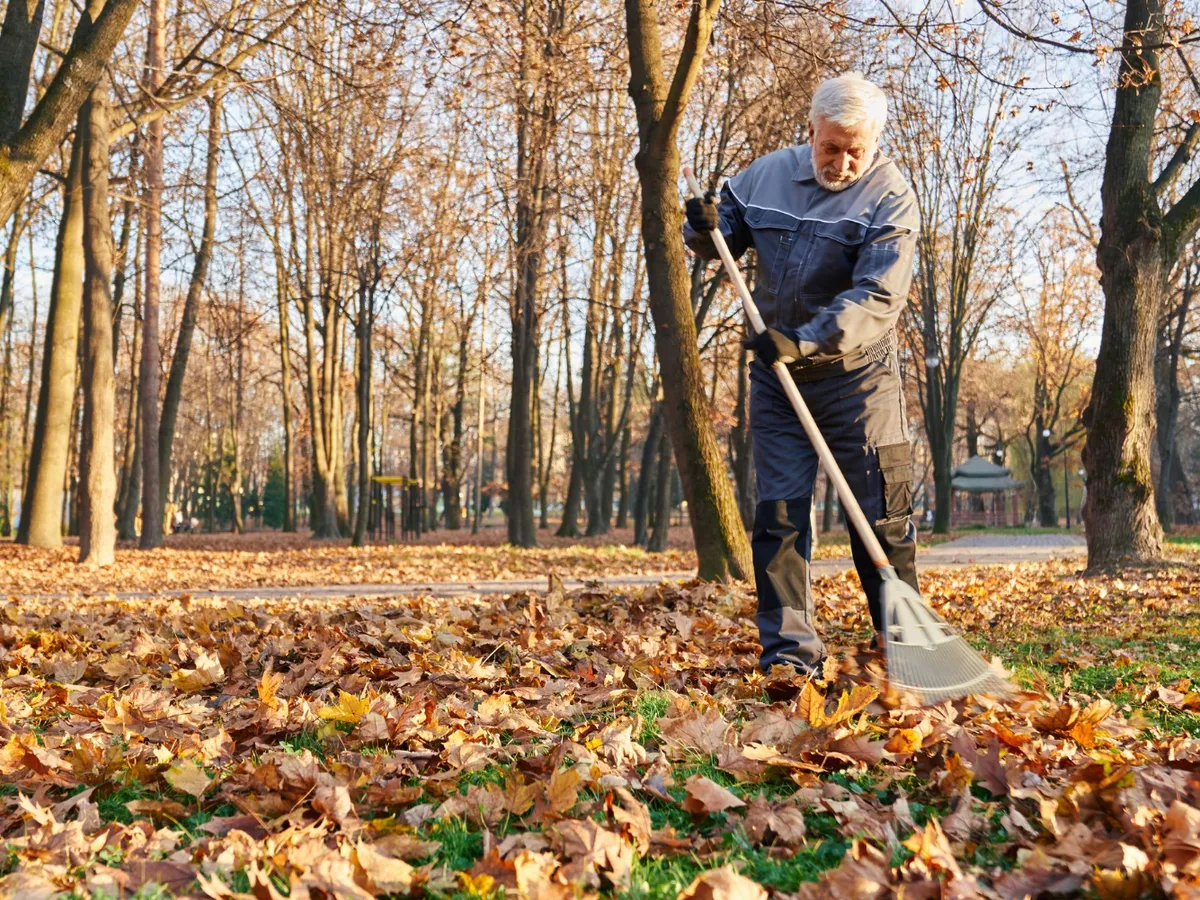 Bărbat care adună frunzele în grădină - Foto: Magnific.com (Imagine cu rol ilustrativ)