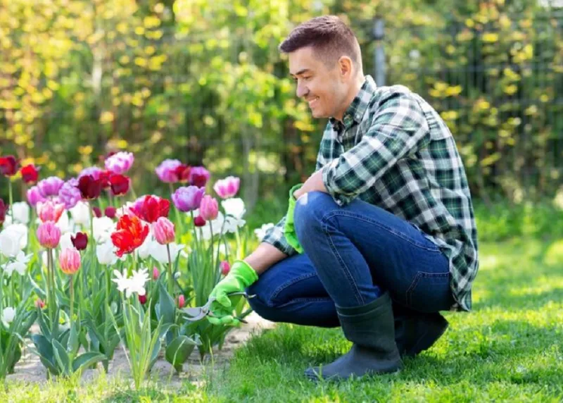 Grădinar &icirc;n grădină - Foto: Freepik