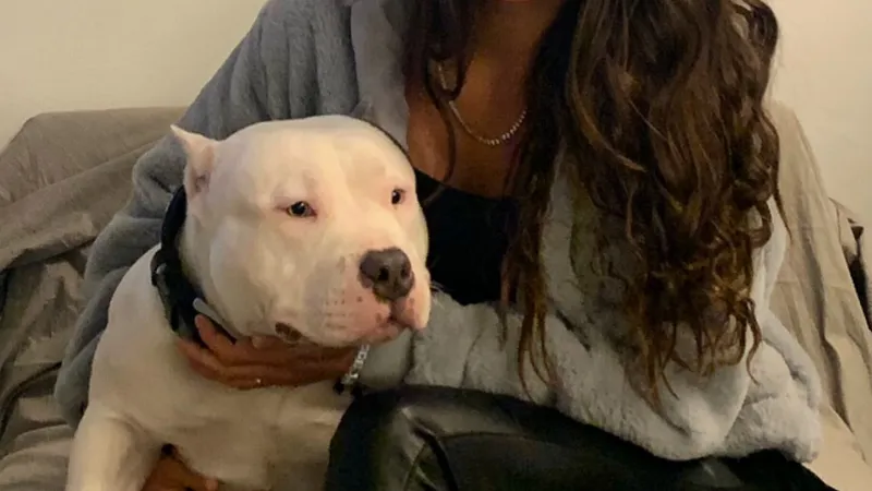 Tania Gomez apărea ca președinte al unei organizații care are grijă de animalele fără stăpân Foto:Facebook/ HundGarin