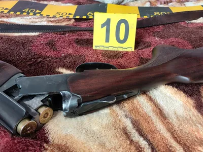 Armă de vânătoare- Foto: Poliția Română