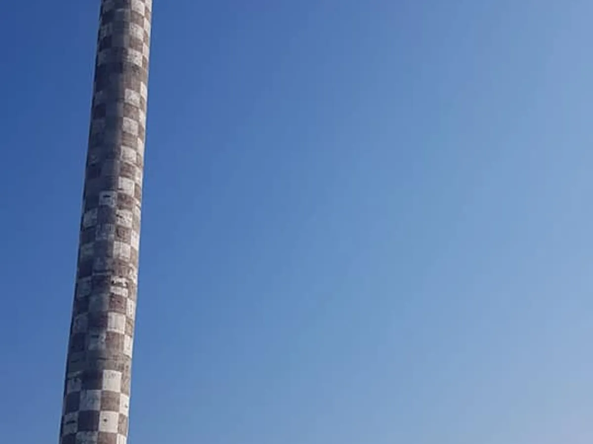 Sala Polivalentă, blocată de turn/ Compania Municipală Întreținerea Arborilor și Spațiului Verde București.