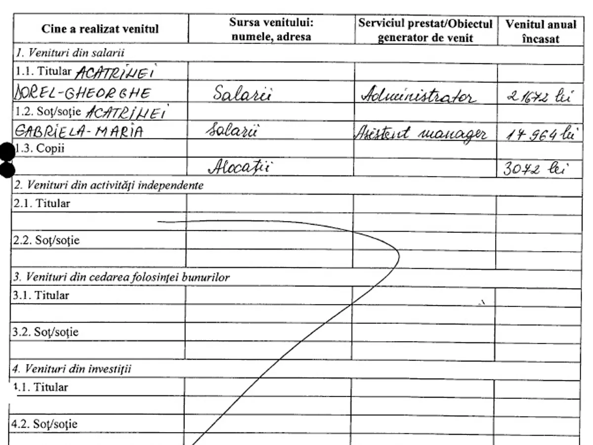 Declarația de avere a lui Dorel Acatrinei. Sursa: ANI