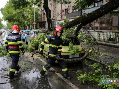 Prăpăd în Capitală după codul galben de vânt. 61 de copaci căzuți și 36 de autoturisme avariate - Foto: Facebook/ISUB-IF - Caracter ilustrativ