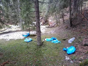 Animale moarte în saci, aruncate în Parcul Retezat. Foto: Amator/Facebook