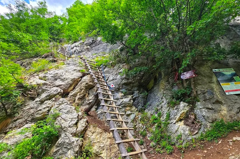 scara acces Ineleț