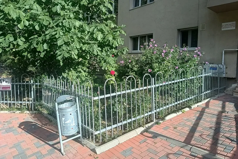 Sărbătoarea plantelor verzi şi florilor, &icirc;n grădinile bucureştenilor. Doar că nu sunt grădinile lor - Foto: Florin Budescu