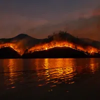 Incendiu de vegetație Foto: Pexels.com/ (Imagine cu rol ilustrativ)