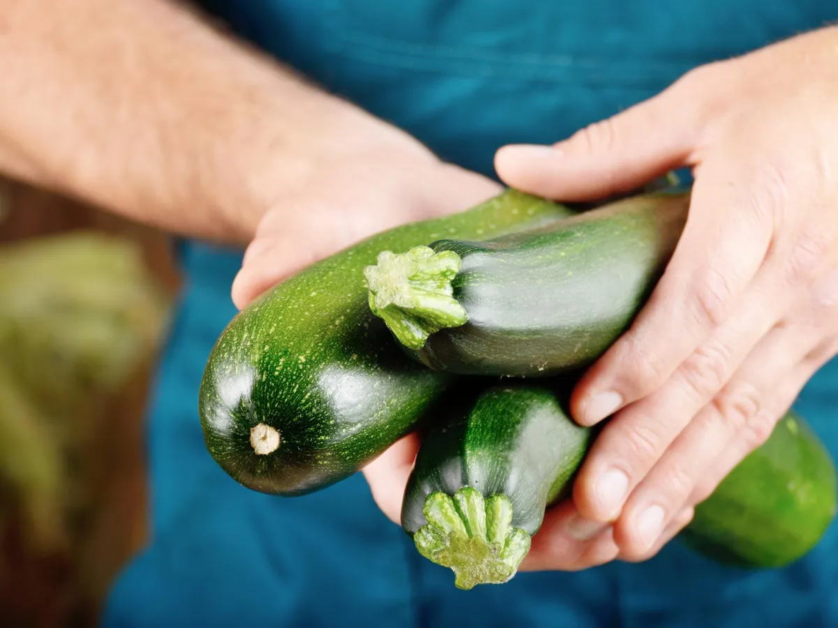 Persoană care ține dovlecei în mâini - Foto: Freepik (Imagine cu rol ilustrativ)