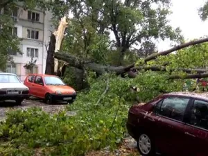 Dezastru într-un județ din țară după codul roșu de furtună. „Nu a mai rămas nimic” - Foto: Arhiva