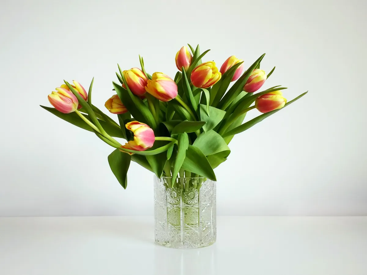 Florile din vaza ta se ofilesc repede pentru că faci asta. Un florar dezvăluie trucuri care sunt de aur