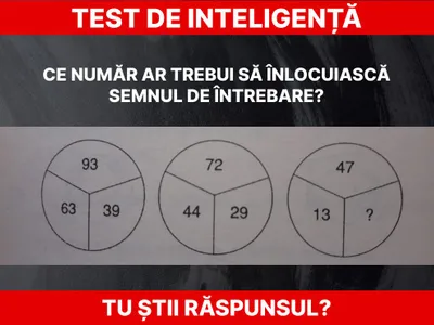 Test de inteligență Foto: Daniel Toșa